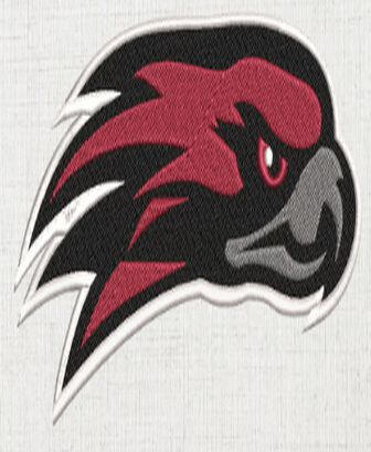 Mascot Samples - Hawk