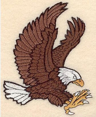 Mascot Samples - Eagle